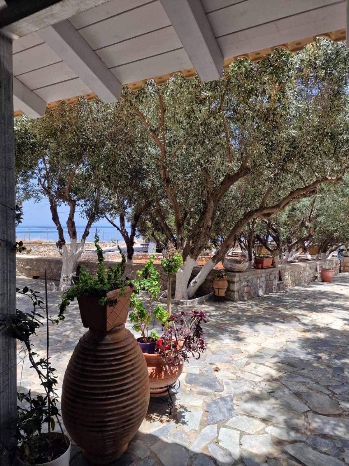 Ktima Zaxarias Hotel Kokkala Exterior foto