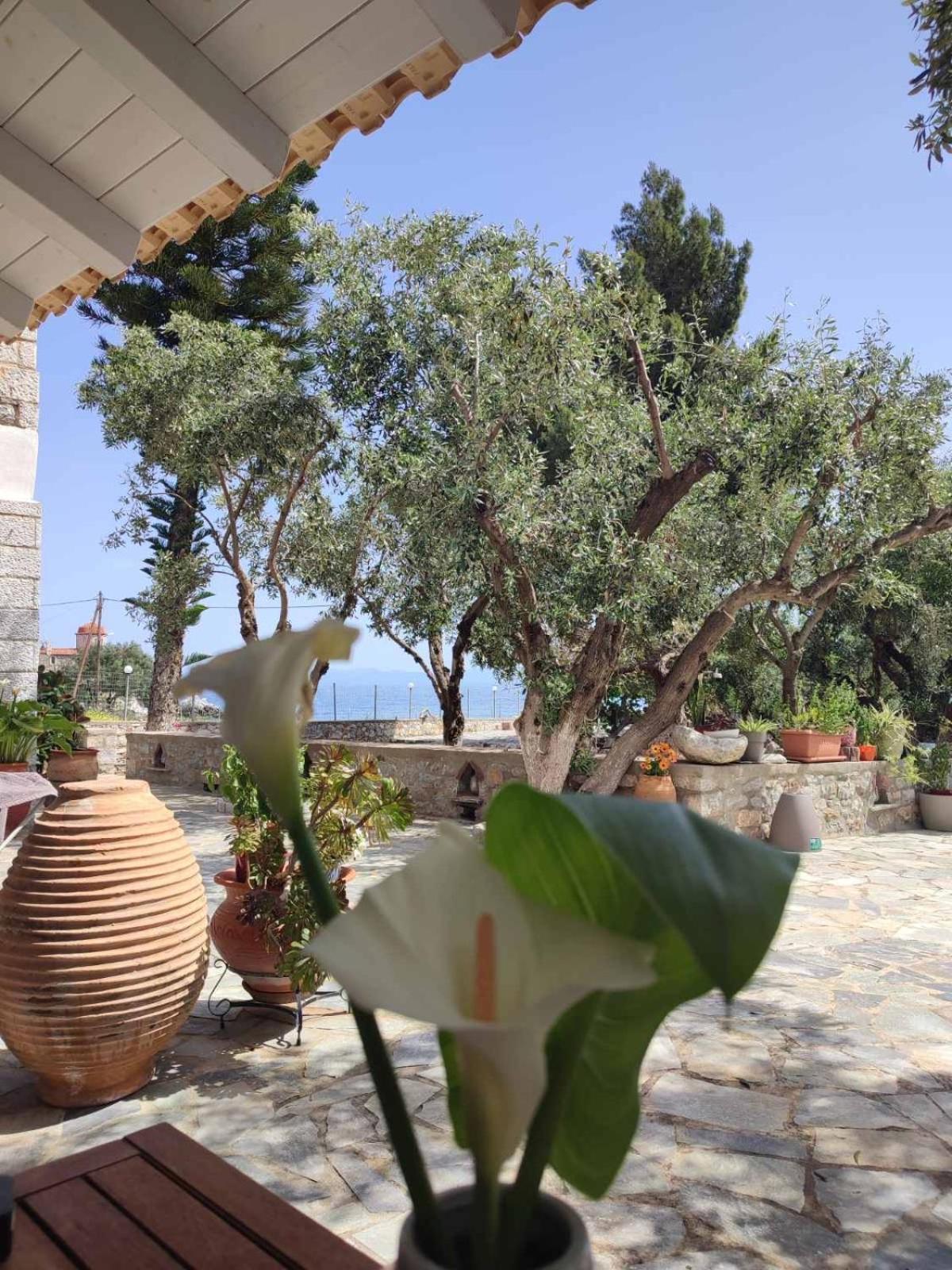 Ktima Zaxarias Hotel Kokkala Exterior foto